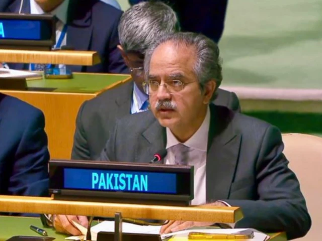  Pakistan calls for abolition of veto power